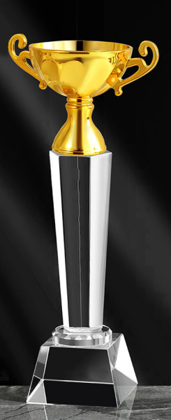 Crystal Trophy CRT950063